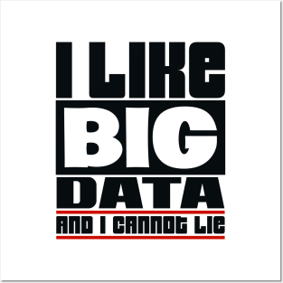 I like big data and I cannot lie Posters and Art